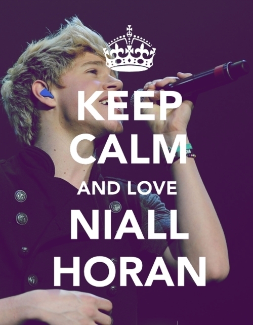 xx-i-love-niall-horan-xx-niall-horan-xxx-21123823-500-642